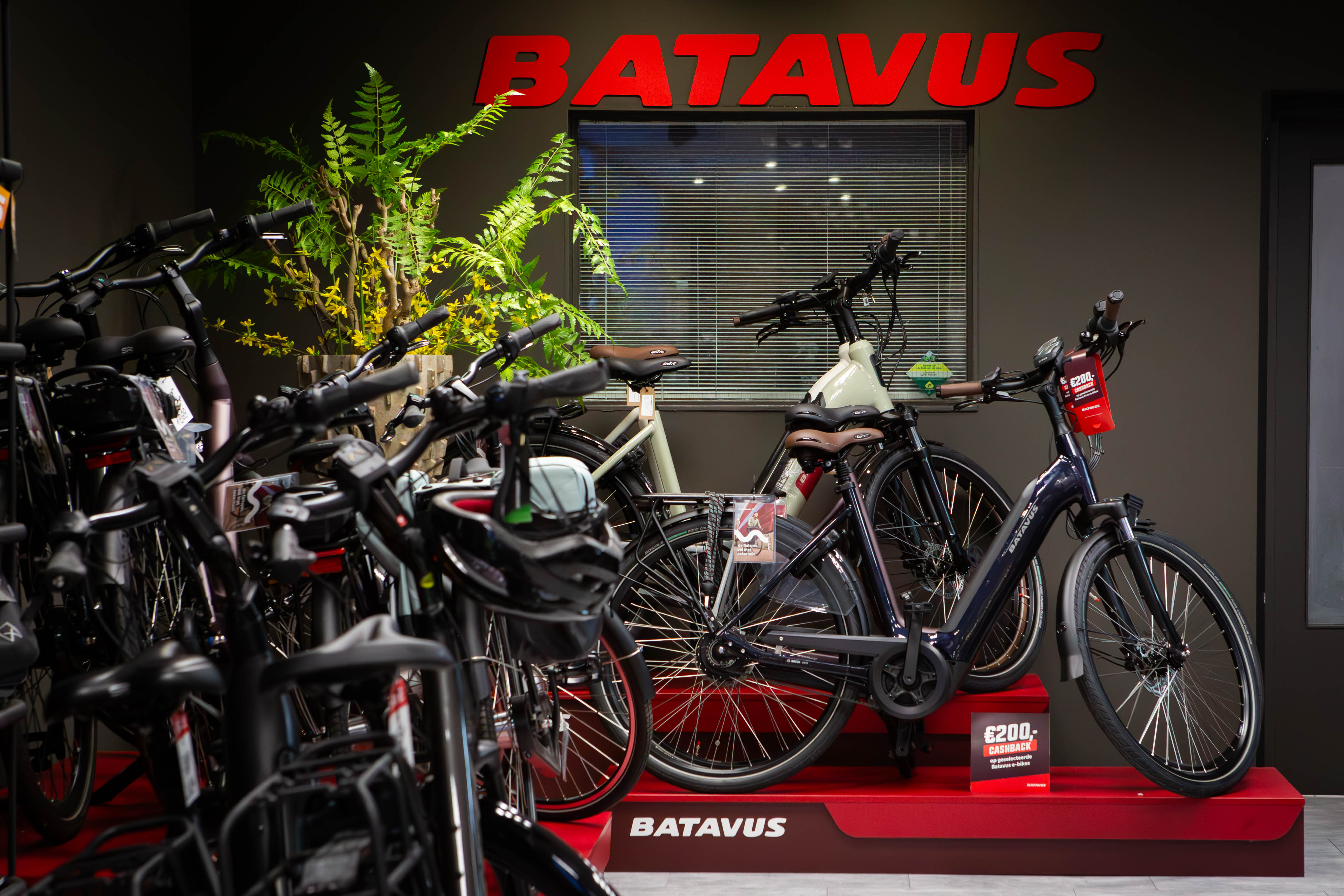 Batavus fietsen